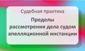 Пределы рассмотрения дела судом апелляционной инстанции