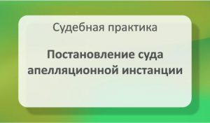 Постановление суда апелляционной инстанции