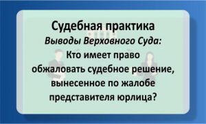 Кто имеет право обжаловать решение, вынесенное по жалобе юрлица