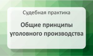 Общие принципы уголовного производства (ст 7 УПК)