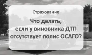 Советы по отсутствию полиса у виновника ДТП